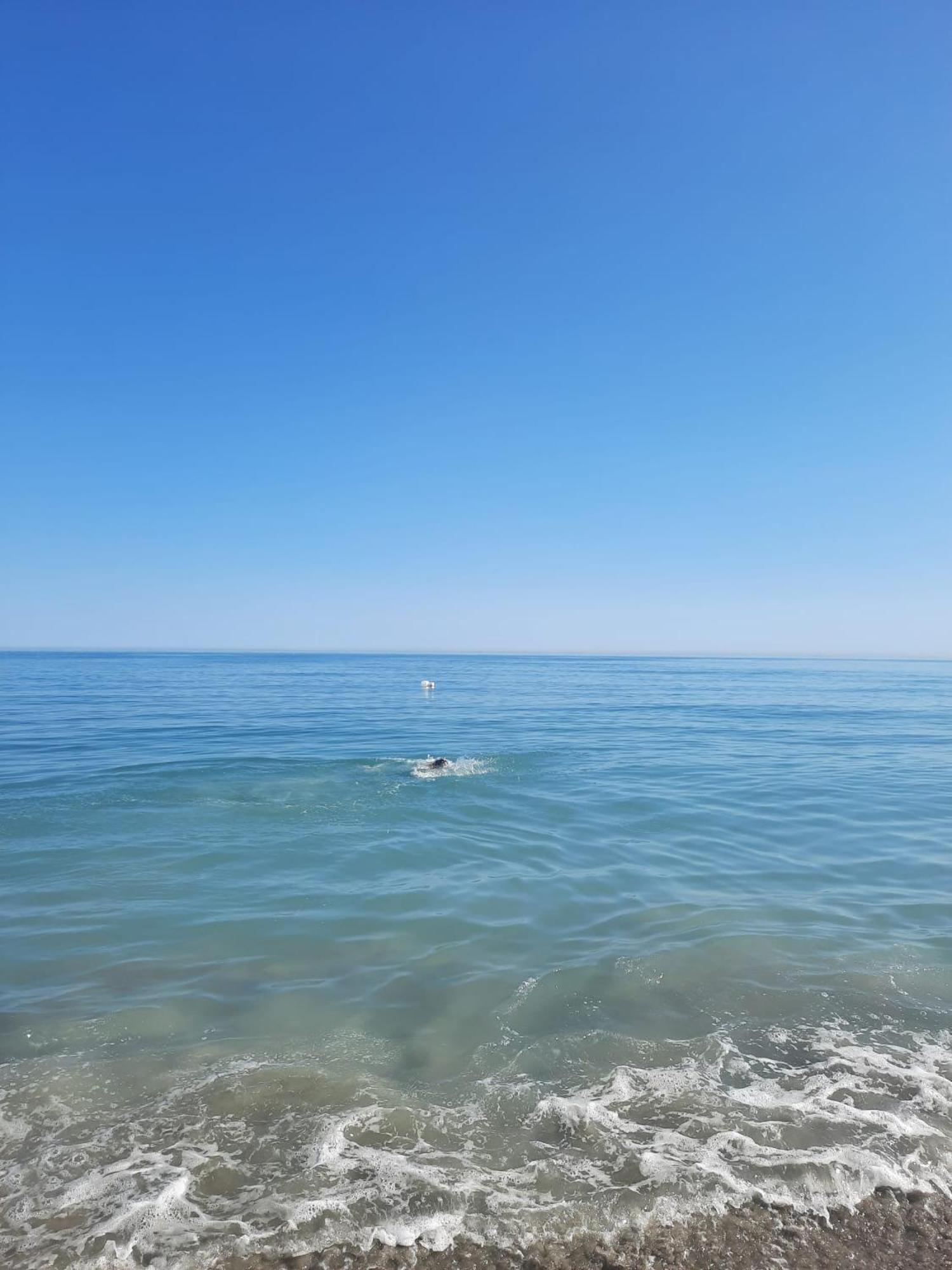 Готель Solaria House Mamaia Strada M10 Nr 15B Mamaia Nord Неводарі Екстер'єр фото